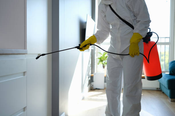 Best Commercial Mold Removal  in Palestine, TX