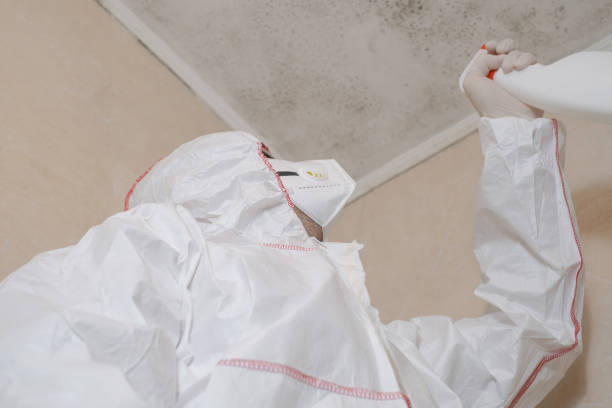 Best Residential Mold Removal  in Palestine, TX